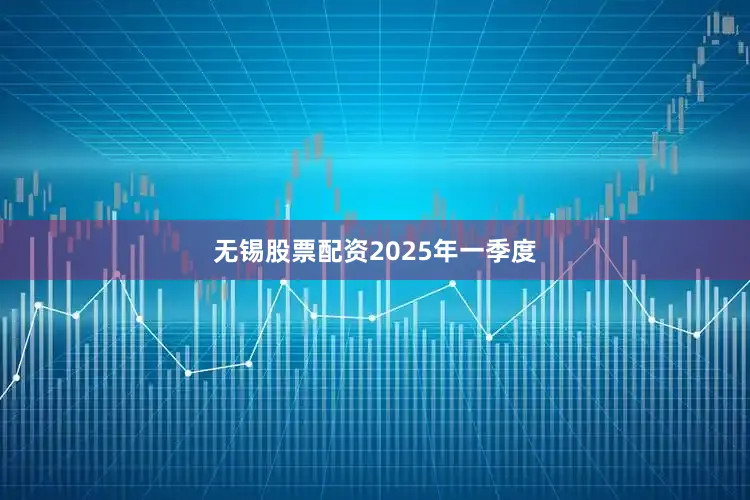 无锡股票配资　　2025年一季度