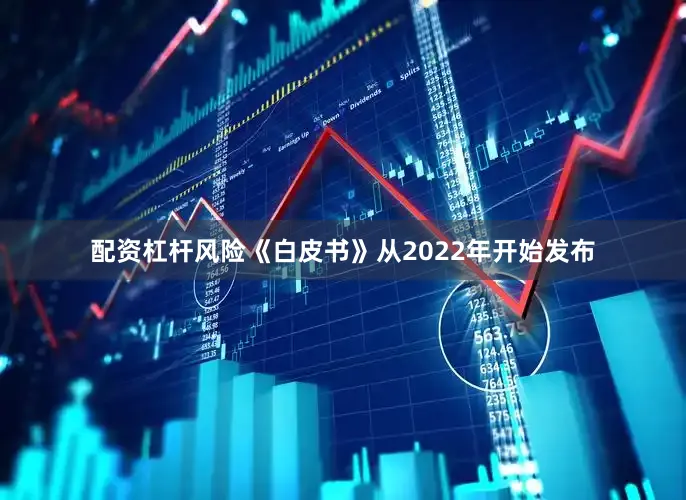配资杠杆风险　　《白皮书》从2022年开始发布
